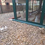 D'hote Au Grenier D'abondance Nocleg ze śniadaniem Niderviller